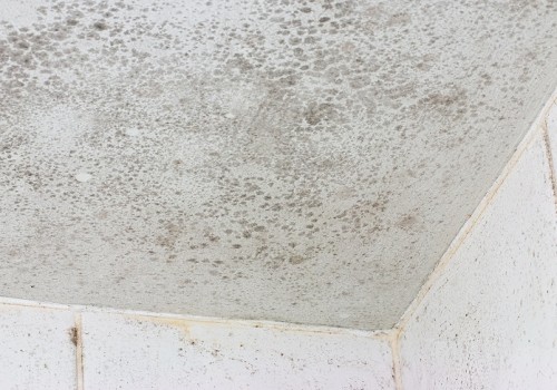 Ceiling mould shown on the interior of a white tiled bathroom a common source of unhealthy damage and decay that forms when funghus grows in a poorly ventilated room.